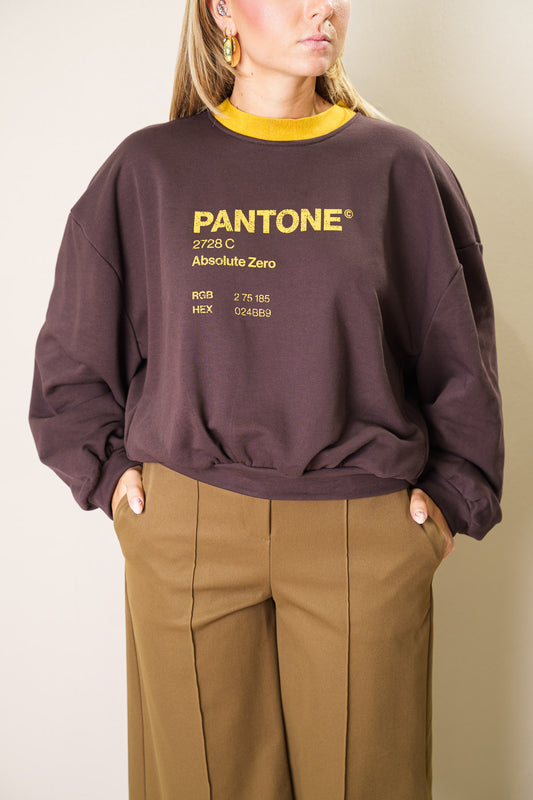 Felpa Pantone - Haveone